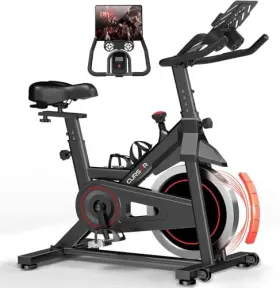 Cbe20-bk Cursor Fitness Exercise Bike Spin Equipment Home Use - Black