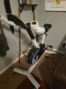 Basic001 Freebike Freebeat Boom Basic Smart Indoor Cycling Bike Swiss Design Space-saving Exer