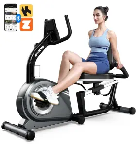 W27302 Hasiman Recumbent Exercise Bike Magnetic Resistance Stationary Sit Down Cardio Workout