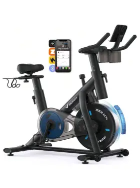 Merach 629722848419 Exercise Bike Brake Pad/magnetic Stationary With Exclusive App