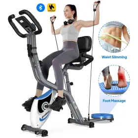 Pooboo 445037720720 4 In 1 Stationary Exercise Bike Home Gym Cardio