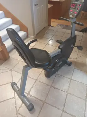 220p Schwinn Recumbent Exercise Bike