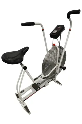 Schwinn 615827223756 Air-dyne Dual Action Ad3 Stationary Bike