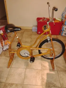 Schwinn En-25629 Exerciser Upright Gold Vintage Adj. Seat Timer En25629