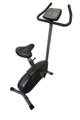 508p Sportsart Upright Stationary Bike