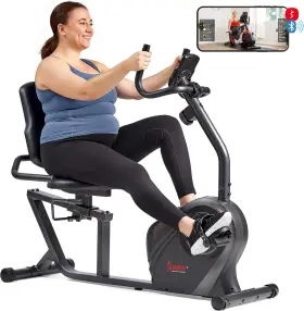Sunny 815749019431 Health And Fitness Magnetic Recumbent Bike With 300lb Weight Capacity