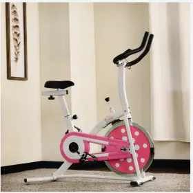 P8100 Sunny Health Fitness Chain Drive Indoor Exercise Bike - Pink