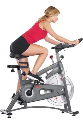 Sf-b1879 Sunny Health & Fitness Synergy Magnetic Indoor Cycling Bike -