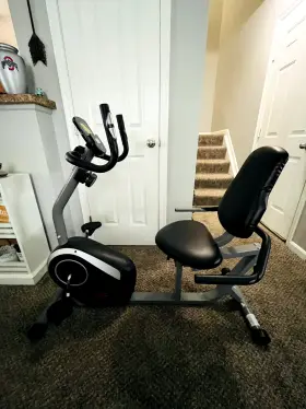 Sf-rb4616s Sunny Magnetic Recumbent Exercise Bike
