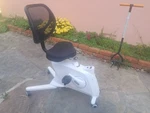 Flexispot SIT2GO 2-IN-1 Fitness Chair Eco Sport Exercise. Fixed Price $200.00.