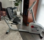 Schwinn Biodyne Performance Recumbent Seated Bike. Fixed Price $250.00.