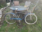 Schwinn Tiger Mens Cruiser Bicycle Vintage Blue Rare Local Pick Up. Fixed Price $179.00.