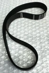 True Fitness Exercise Bike Drive Belt - Part 9CS80022 610J8. Fixed Price $39.99.