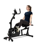 Echanfit Recumbent Exercise Bike For Home - 380LBS Weight Capacity, .... Fixed Price $173.25.