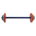 Redmon For Kids Barbell Set. Fixed Price $32.98.
