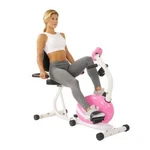 Sunny Health & Fitness Cardio P8400 Magnetic Recumbent Adjustable Bike Pink New. Fixed Price $83.99.