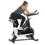 Magnetic Cycle Stationary Trainer Exercise Bike Adjustable Handlebar Seat. Fixed Price $499.98.