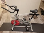 Sunny Health & Fitness Exercise Bike SF-B1001S With Floor Mat. Fixed Price $70.00.