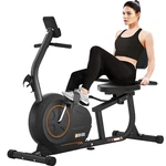 Senior-friendly Recumbent Exercise Bike, 300LB Capacity, 16 Resistance Levels. Fixed Price $315.99.