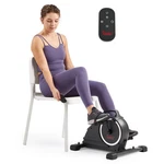 Sunny Health & Fitness Motorized Mini Exercise Bike SF-B020029SMART. Fixed Price $265.99.