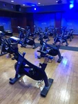 Stages SC3 Indoor Cycling Bikes 58 Sold Together. Fixed Price $65000.00.