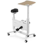 Toyandona Exercise For Home, Space Saving Under Desk Stationary. Fixed Price $228.99.